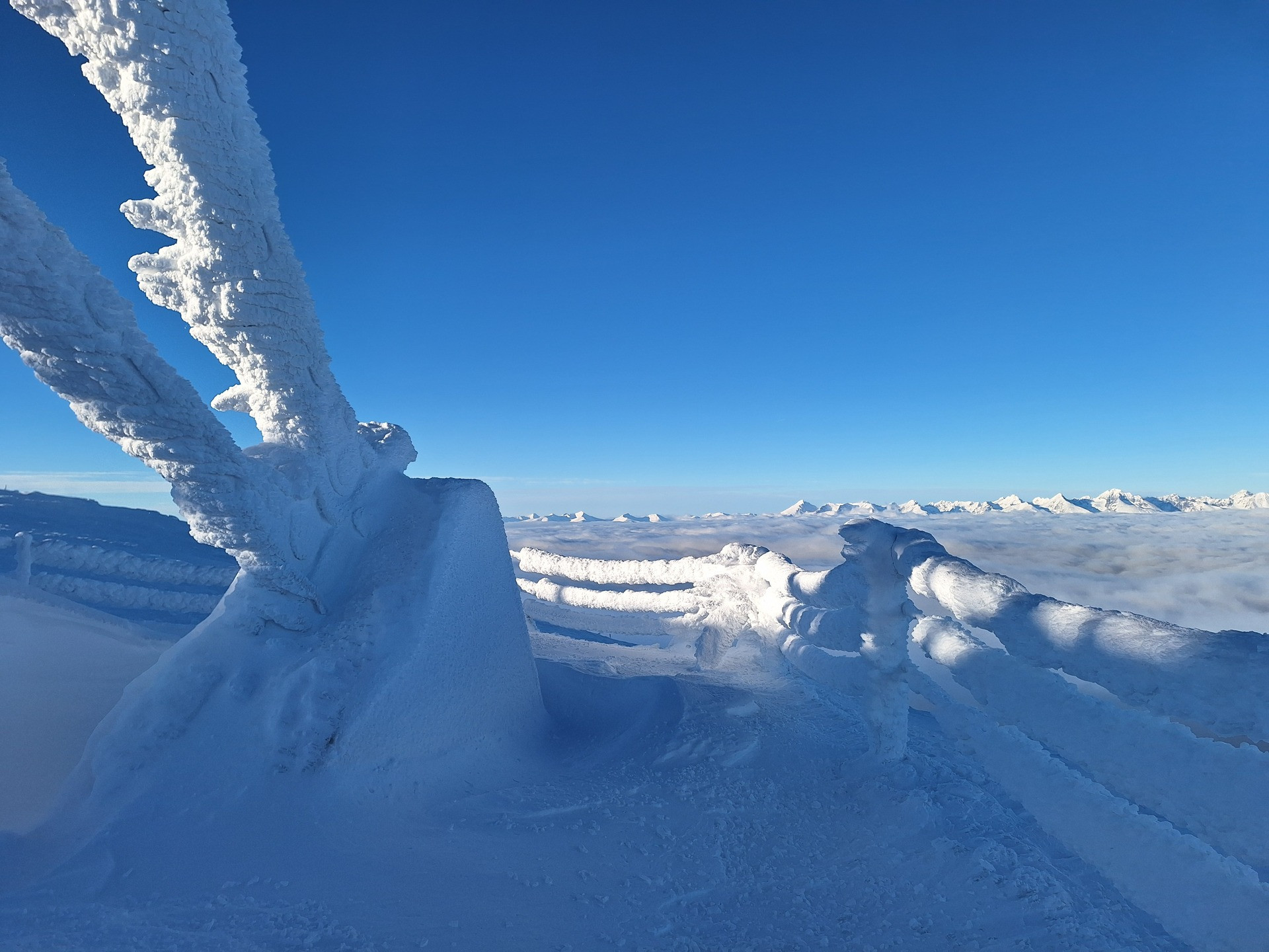 TVS KRÁL'OVA HOL'A - VÝMĚNA KOTEVNÍCH LAN