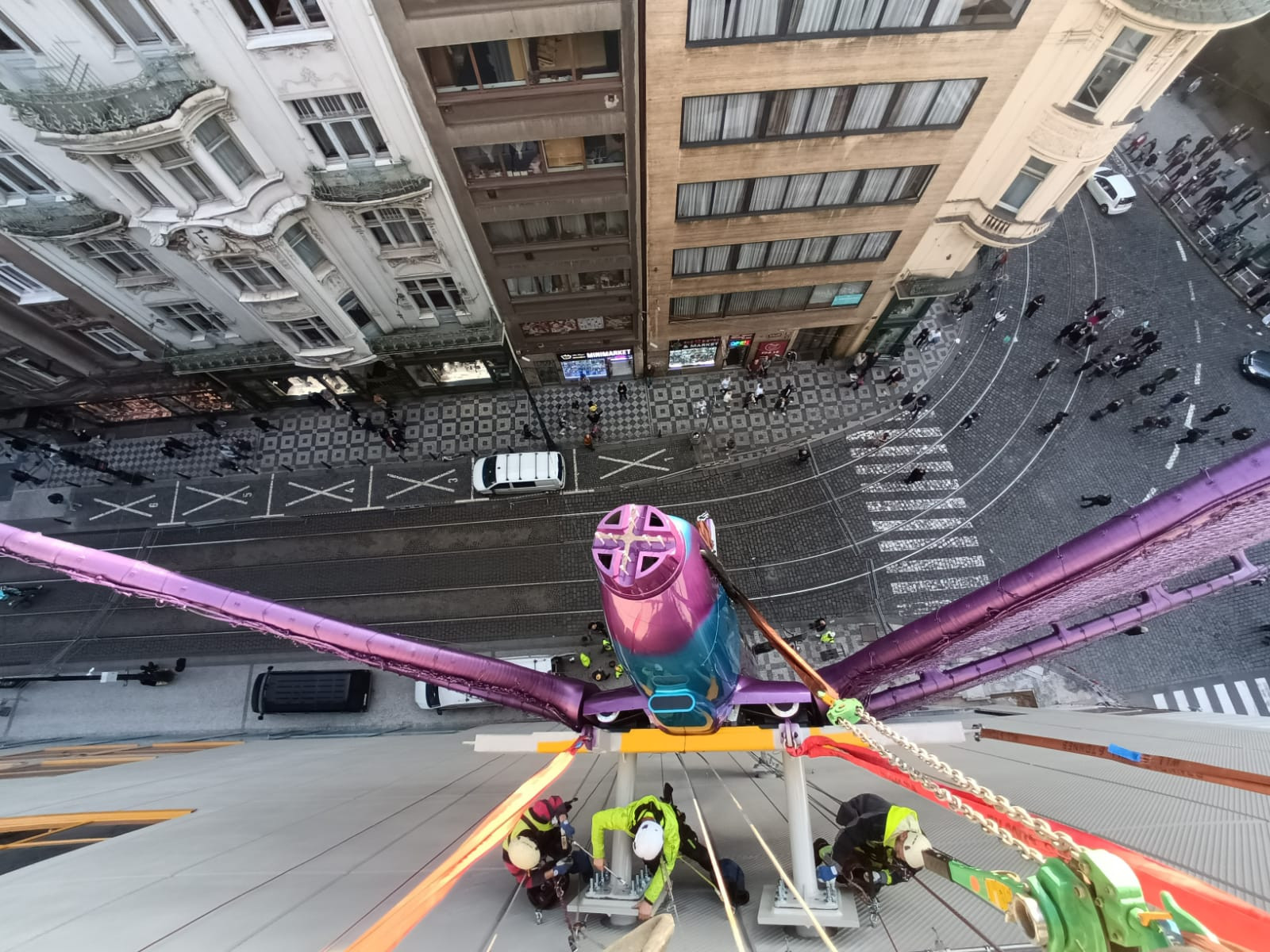 Instalace motýlů z dílny výtvarníka Davida Černého