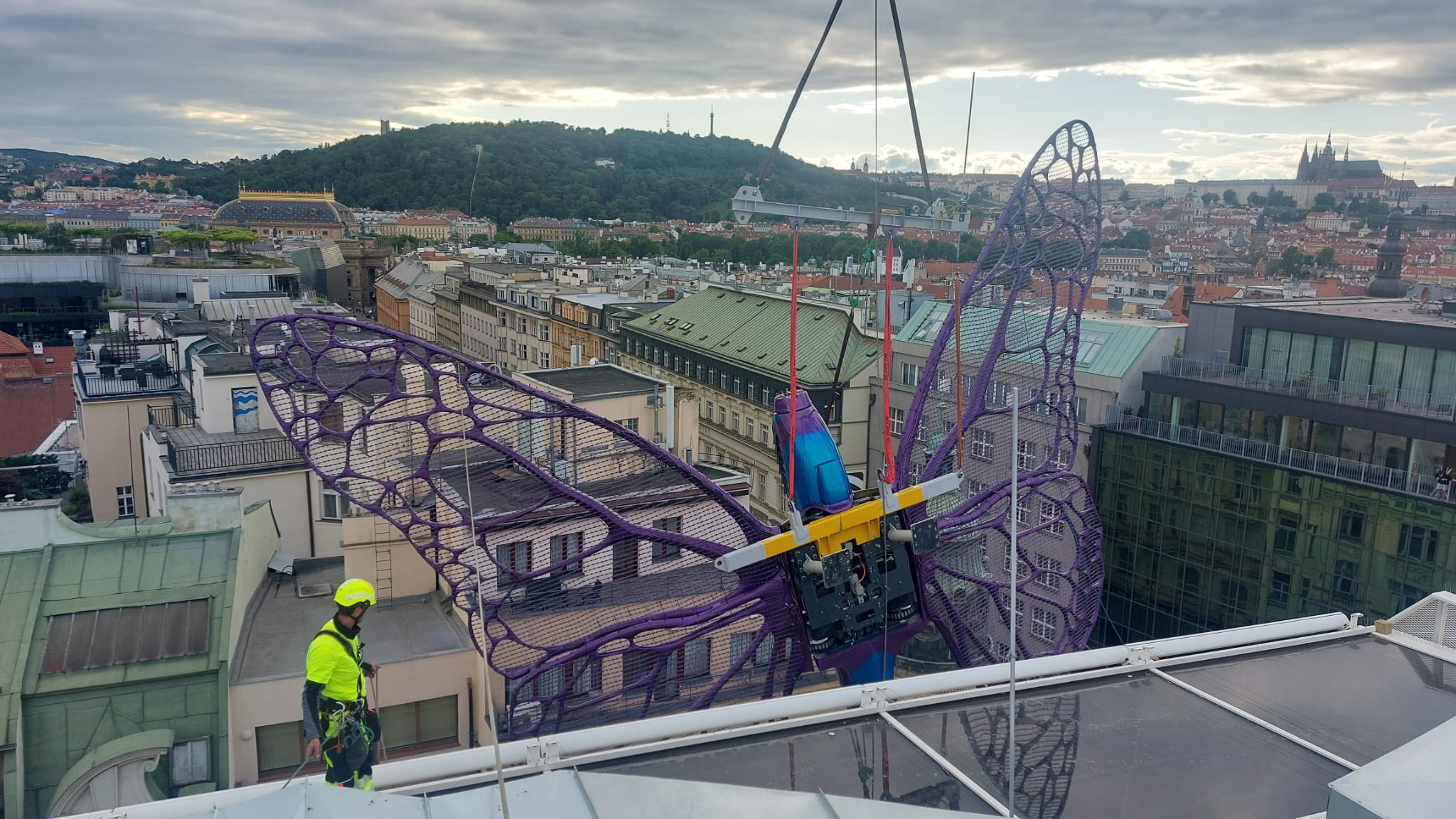 Instalace motýlů z dílny výtvarníka Davida Černého