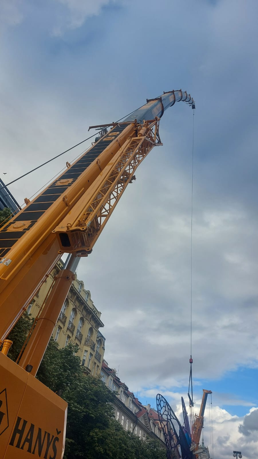 Instalace motýlů z dílny výtvarníka Davida Černého