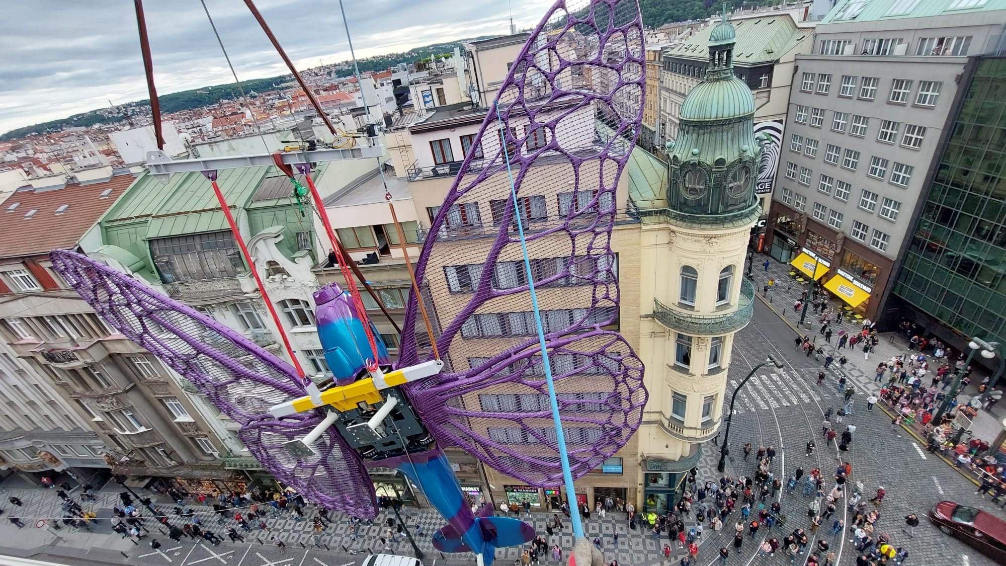 Instalace motýlů z dílny výtvarníka Davida Černého