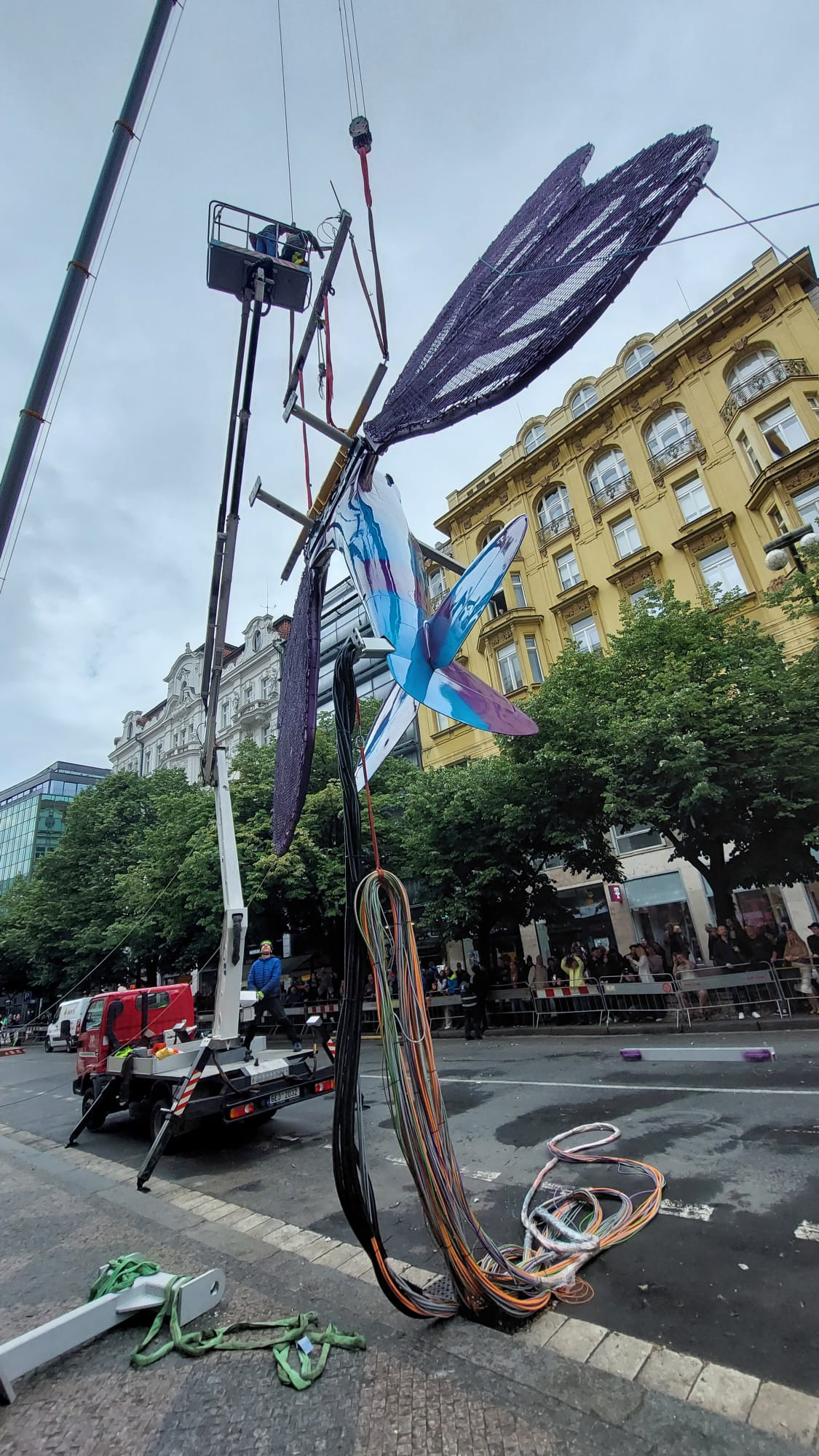 Instalace motýlů z dílny výtvarníka Davida Černého