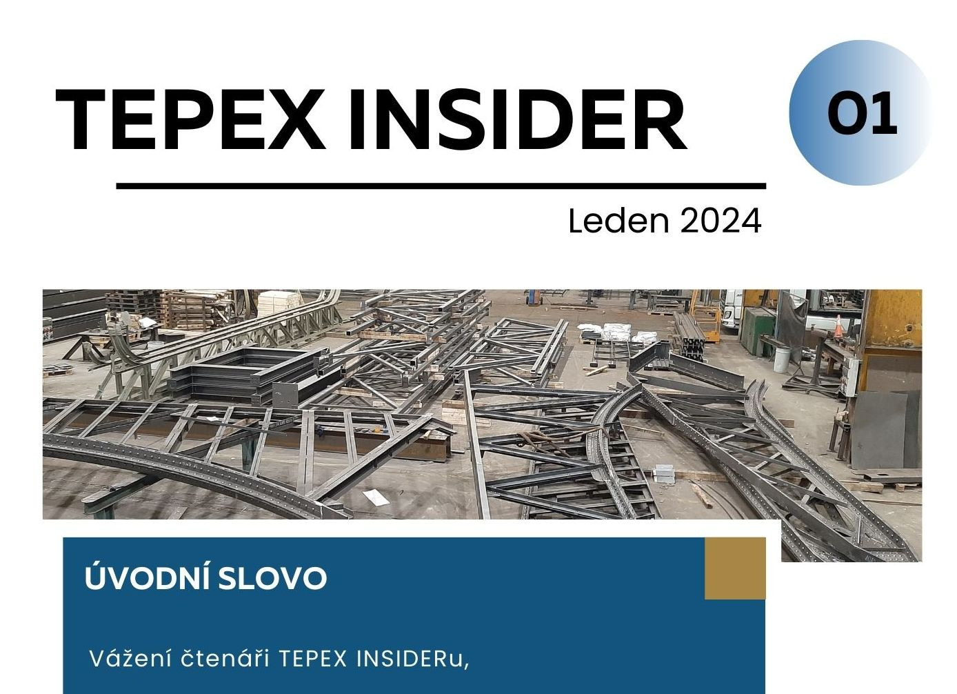 Newsletter TEPEX INSIDER